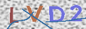この文字を入力してください