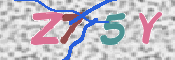 この文字を入力してください