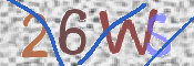 この文字を入力してください