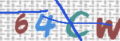 この文字を入力してください