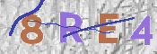 この文字を入力してください