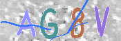この文字を入力してください