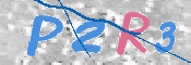 この文字を入力してください