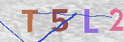 この文字を入力してください
