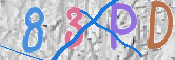この文字を入力してください