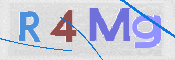 この文字を入力してください