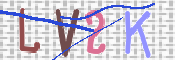 この文字を入力してください