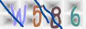 この文字を入力してください