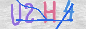 この文字を入力してください