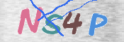 この文字を入力してください