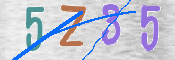 この文字を入力してください
