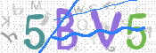 この文字を入力してください