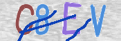 この文字を入力してください