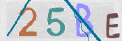 この文字を入力してください