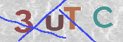 この文字を入力してください