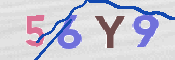 この文字を入力してください