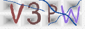 この文字を入力してください