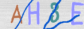 この文字を入力してください