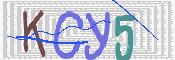 この文字を入力してください