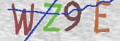 この文字を入力してください