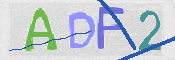 この文字を入力してください