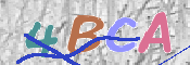 この文字を入力してください