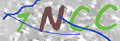 この文字を入力してください