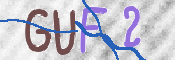 この文字を入力してください