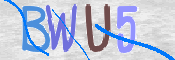 この文字を入力してください