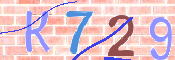 この文字を入力してください