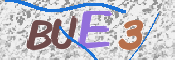 この文字を入力してください
