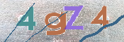 この文字を入力してください