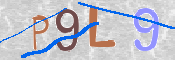 この文字を入力してください