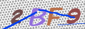 この文字を入力してください