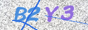 この文字を入力してください