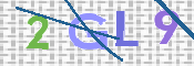 この文字を入力してください