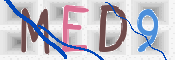 この文字を入力してください