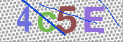 この文字を入力してください