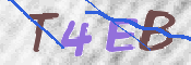 この文字を入力してください