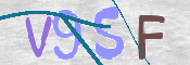 この文字を入力してください