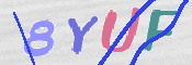 この文字を入力してください