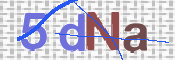この文字を入力してください
