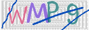 この文字を入力してください