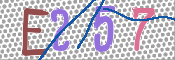 この文字を入力してください