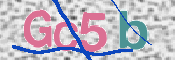 この文字を入力してください