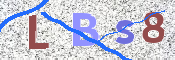 この文字を入力してください