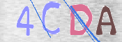 この文字を入力してください