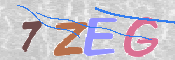 この文字を入力してください
