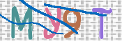 この文字を入力してください