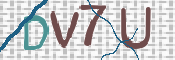 この文字を入力してください
